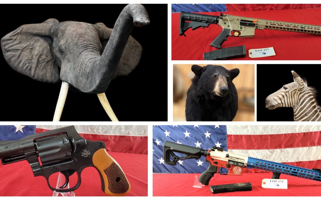 ONLINE – EXOTIC ANIMAL MOUNTS. FIREARMS, AMMO & MORE STARTS MONDAY NOVEMBER 7TH AT 10AM