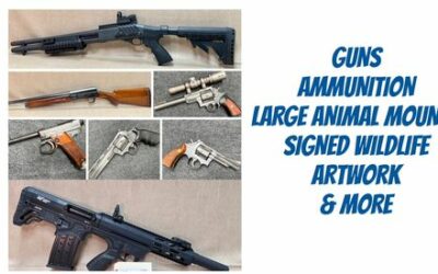 ONLINE AUCTION –  GUNS, AMMO, MOUNTS & WILDLIFE ARTWORK COLLECTION STARTS WEDNESDAY OCTOBER 25TH AT 10AM
